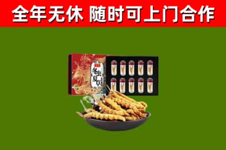 青田县回收冬虫夏草价格